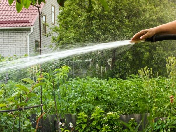 Konjic na udaru suše: Zabranjeno zalijevanje bašti
