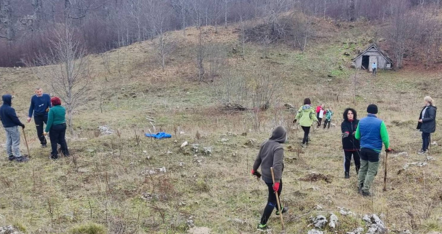 Konjički planinari u akciji pošumljavanja – pošumljavanje izvršeno na dijelu lokaliteta Rapti, u podnožju Prenja