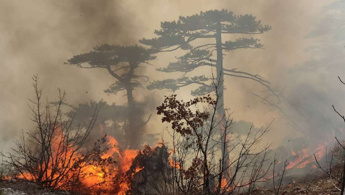 Konjički vatrogasci drže požare pod kontrolom, nadaju su kiši