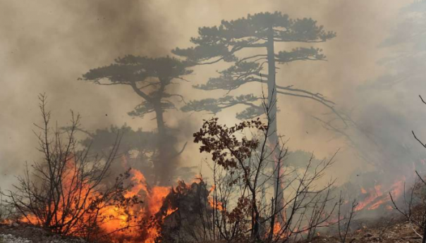 Konjički vatrogasci drže požare pod kontrolom, nadaju su kiši