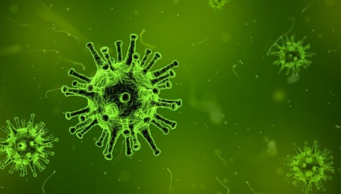 Koronavirus: Kako staviti čitav grad u karantinu i da li to može biti uspješno?