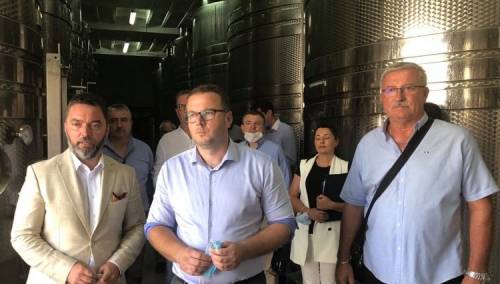 Košarac za zabranu uvoza grožđa na 90 dana