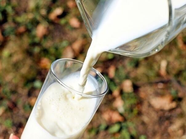 Kozje mlijeko: Evo po čemu se razlikuje od kravljeg i ko bi ga trebao piti