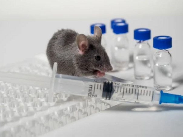 Kraj epidemije leptospiroze u Kantonu Sarajevo