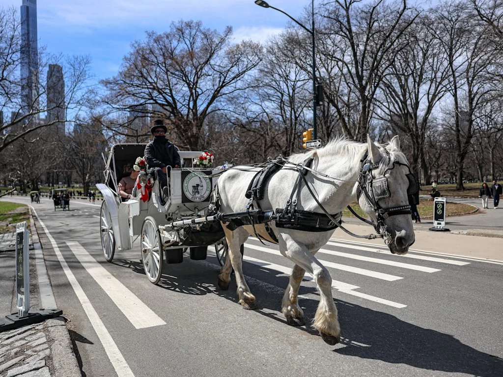 Kraj jedne od najpoznatijih atrakcija New Yorka: Central Park ostaje bez kočija s konjima