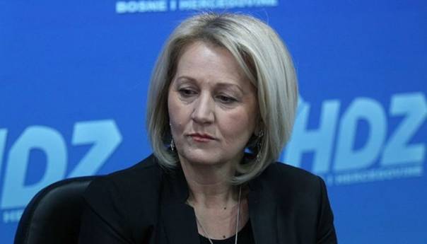 Krišto: Schmidt podlegao pritisku, upitno postojanje BiH