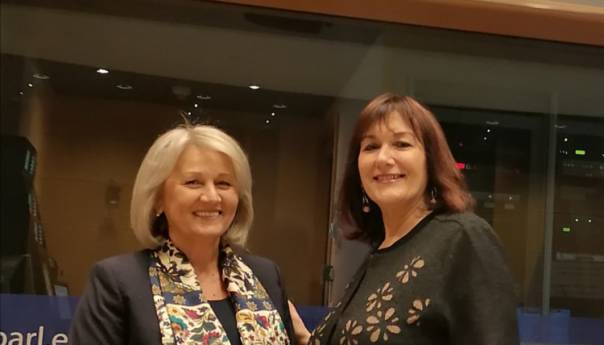 Krišto sudjeluje u radu Europskog parlamentarnog tjedna 2020