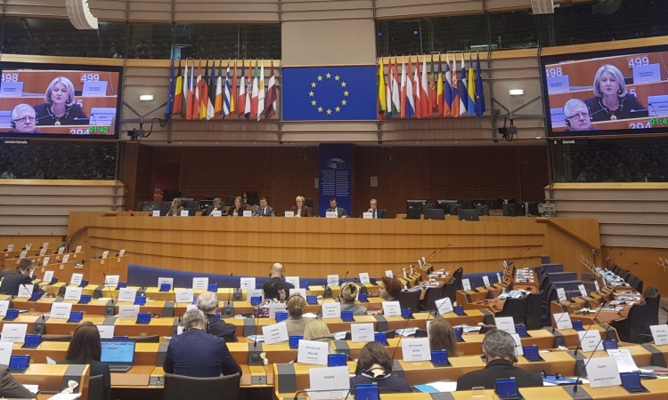 Krišto sudjeluje u radu Europskog parlamentarnog tjedna 2020