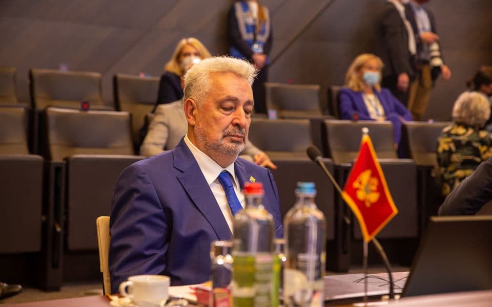 Krivokapić: Rezolucija o Srebrenici je bila nepotrebna