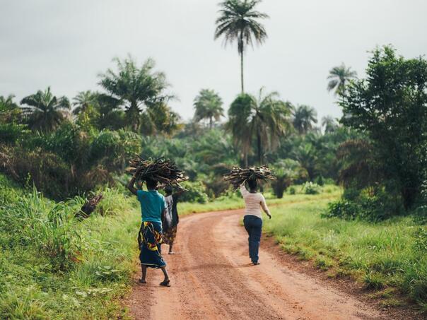 Kriza sa kolerom u Africi gora nego ikada