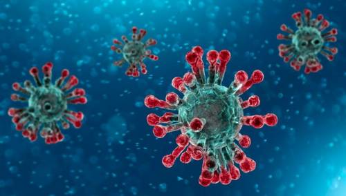 Krizni štab KS-a: Ključna je epidemiološka kontrola oboljelih
