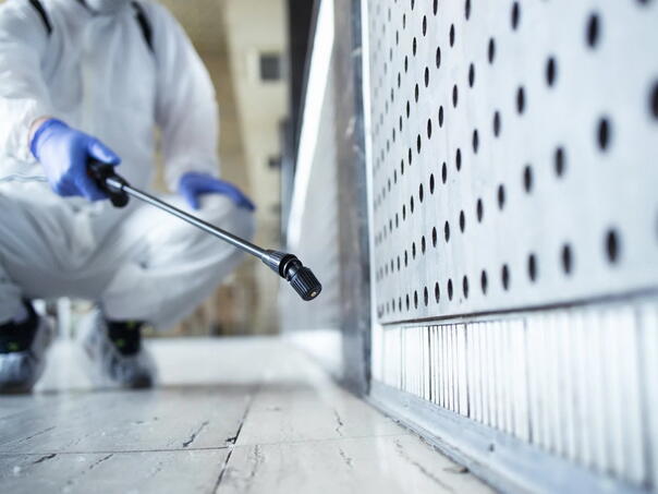 KS drugu godinu bez deratizacije, veliki rizik od pojave mišije groznice