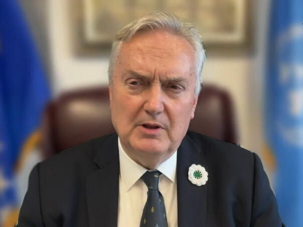 Lagumdžija otkrio: 'Diplomatska drama' uoči usvajanja rezolucije