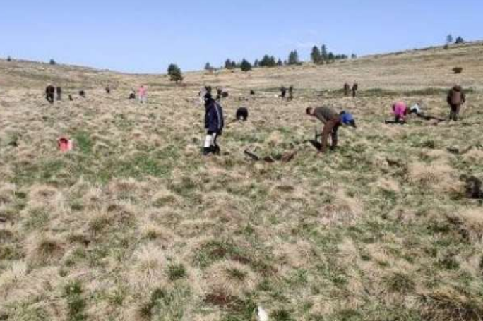 Let’s Do It tim i ove godine organizirao velike akcije pošumljavanja