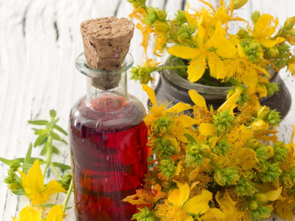 Lijek protiv depresije, stresa i anksioznosti raste na svakom ćošku