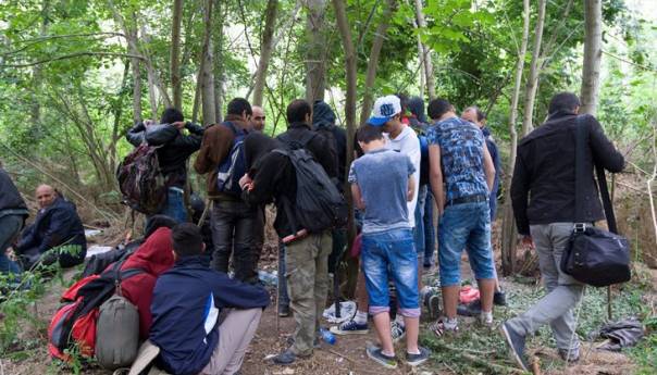 Litva odobrila masovno pritvaranje migranata