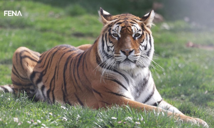 Ljetni režim rada u Pionirskoj dolini uz očekivanje prinova i posebne epidemiološke mjere