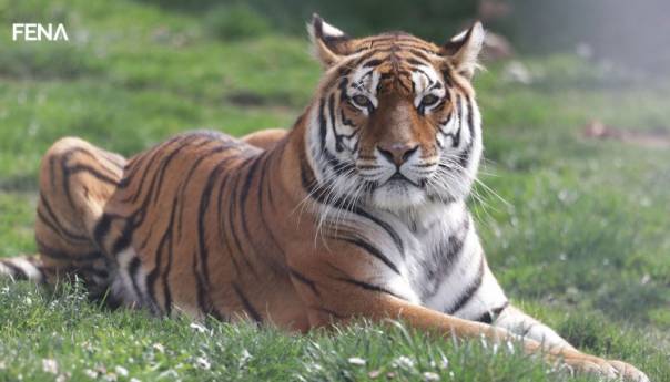 Ljetni režim rada u Pionirskoj dolini uz očekivanje prinova i posebne epidemiološke mjere