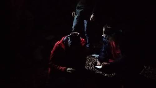 Lociran Laris Ganović