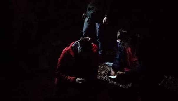 Lociran Laris Ganović