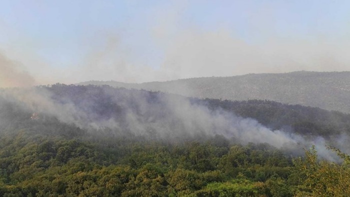Lokalizirani požari na lokalitetima Budim i Rujan u Širokom Brijegu