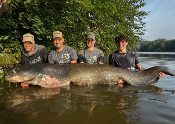 Lovac na somove oborio vlastiti rekord: Upecao "čudovište" od 272cm