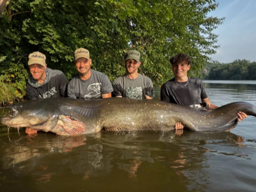 Lovac na somove oborio vlastiti rekord: Upecao "čudovište" od 272cm