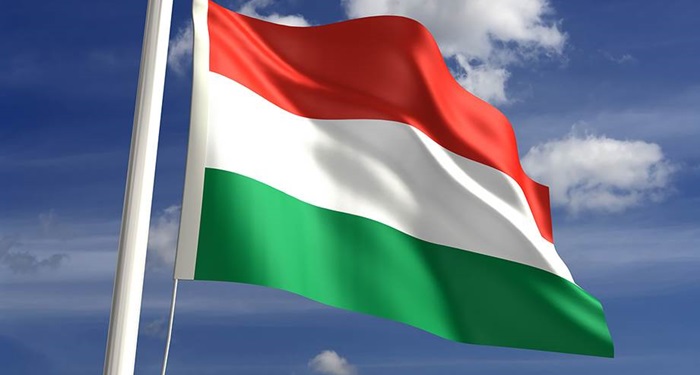 Mađarska vlada želi Ustavom "cementirati rod" svojih građana