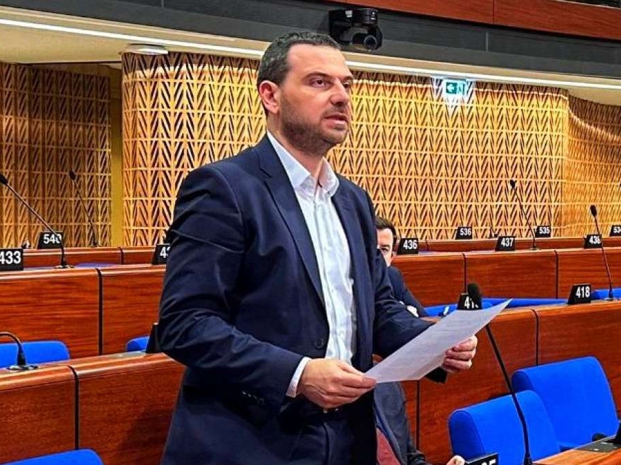 Magazinović u Strazburu: Zaustaviti uplitanje Srbije i Hrvatske u BiH