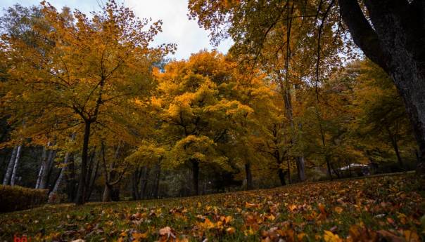 Maglovito jutro, poslije podne se očekuje razvedravanje