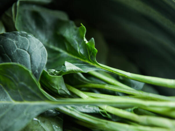 Magnezij je ključan za zdravlje: Ovo povrće ga sadrži najviše