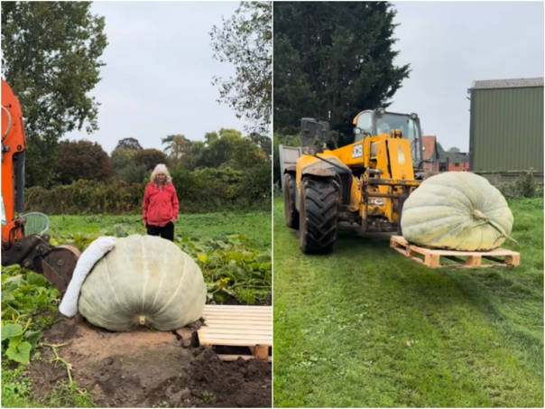Majka pobijedila sina u opkladi i uzgojila tikvu tešku 368 kilograma