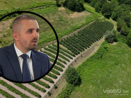 Malina se vraća u Željezno Polje: Veći poticaji donose novu nadu