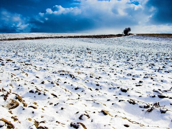 Mapa otkriva da li dramatična snježna oluja stiže u Evropu