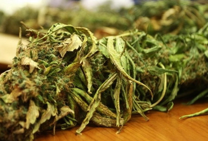 Marihuana pronađena u pretresu kuće u Kozarskoj Dubici
