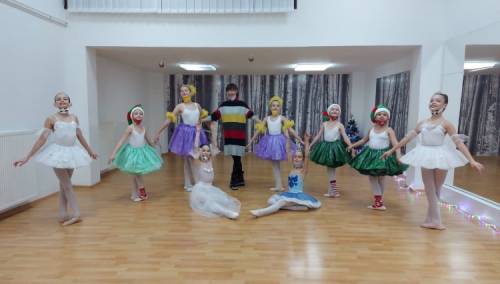 Marinić: Radimo u online uvjetima što je za balet neprihvatljivo