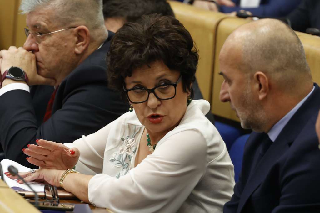 Marinković Lepić na čelu Parlamenta FBiH