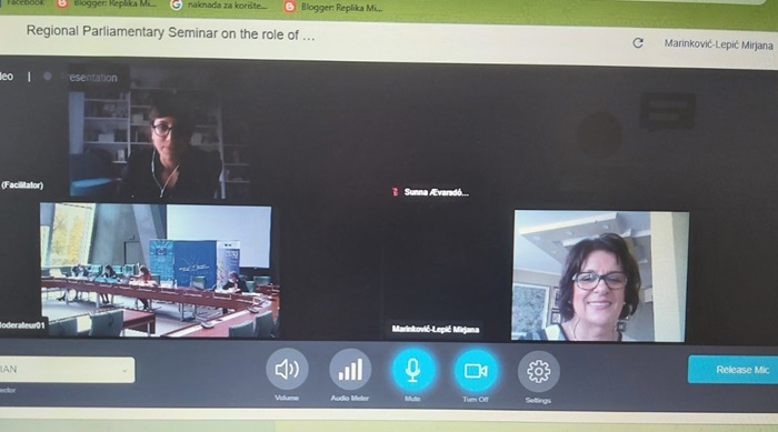 Marinković-Lepić na konferenciji o provođenju Konvencije o ljudskim pravima