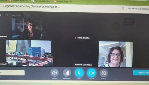 Marinković-Lepić na konferenciji o provođenju Konvencije o ljudskim pravima