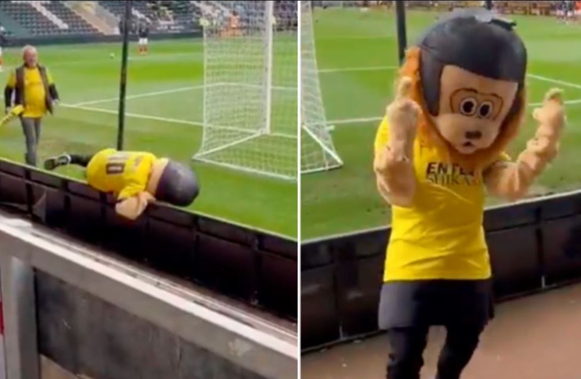 Maskota u Engleskoj izbačena sa stadiona zbog pretjeranog konzumiranja alkohola