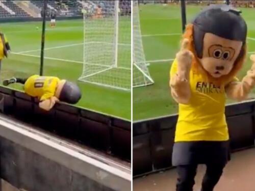 Maskota u Engleskoj izbačena sa stadiona zbog pretjeranog konzumiranja alkohola