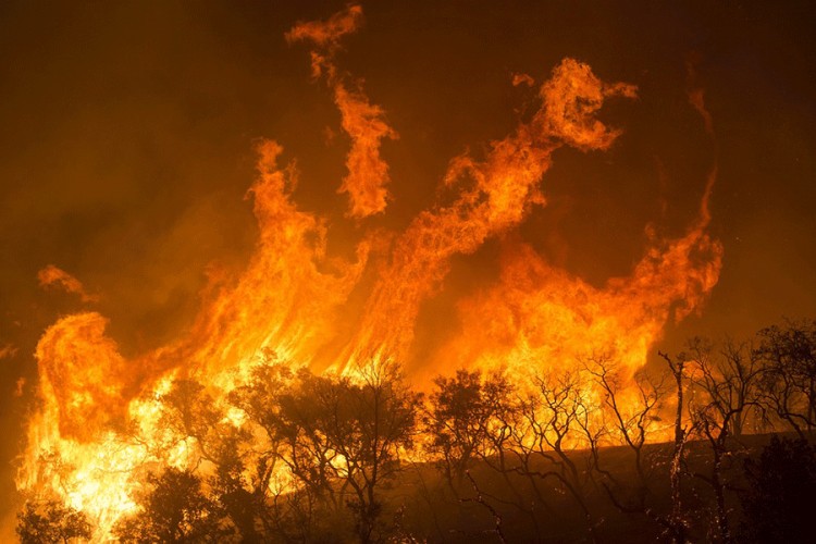 Masovna evakuacija u Kaliforniji zbog požara
