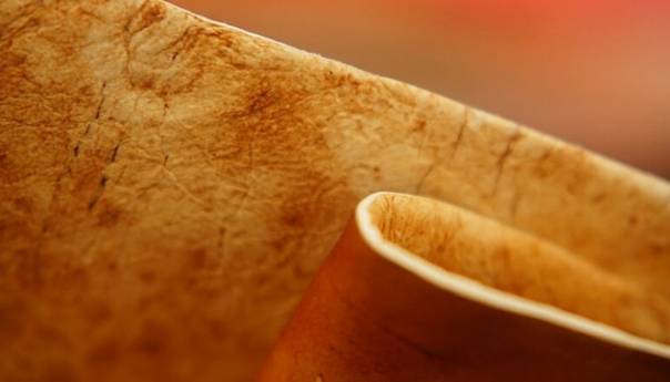 Koža od gljiva je ekološki prihvatljiva alternativa za životinjsku