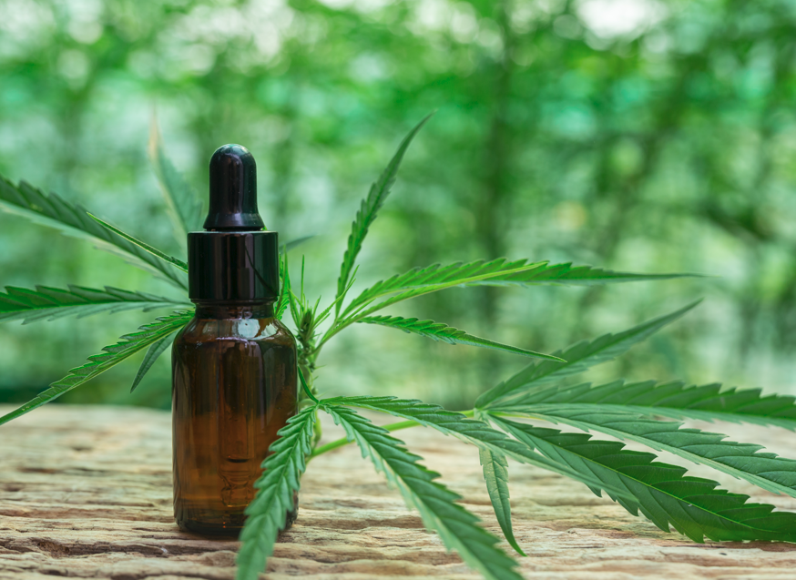 Medicinski kanabis u BiH: Slijede ključni koraci ka dostupnoj terapiji