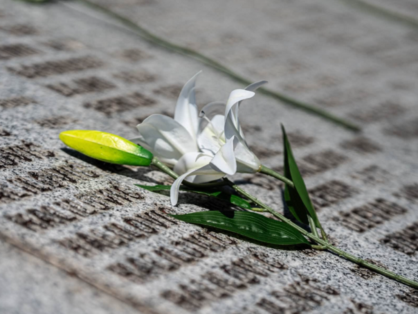 Međunarodna komisija za nestale podržala MC Srebrenica: "Stanite uz one koji se bore za istinu"