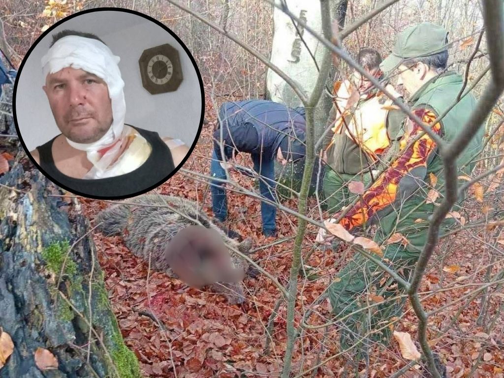 Medvjed napao lovca, on ga ustrijelio u samoodbrani