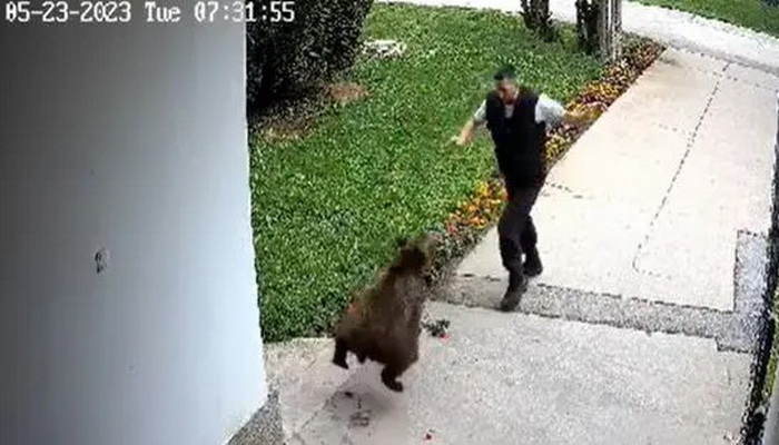 Video: Medvjed napao zaštitara u Bugojnu