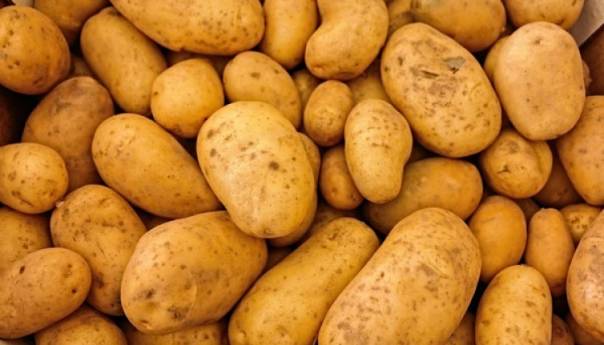 Medžlis IZ Janja proizveo 75 tona krompira, dio prinosa obrazovnim institucijama