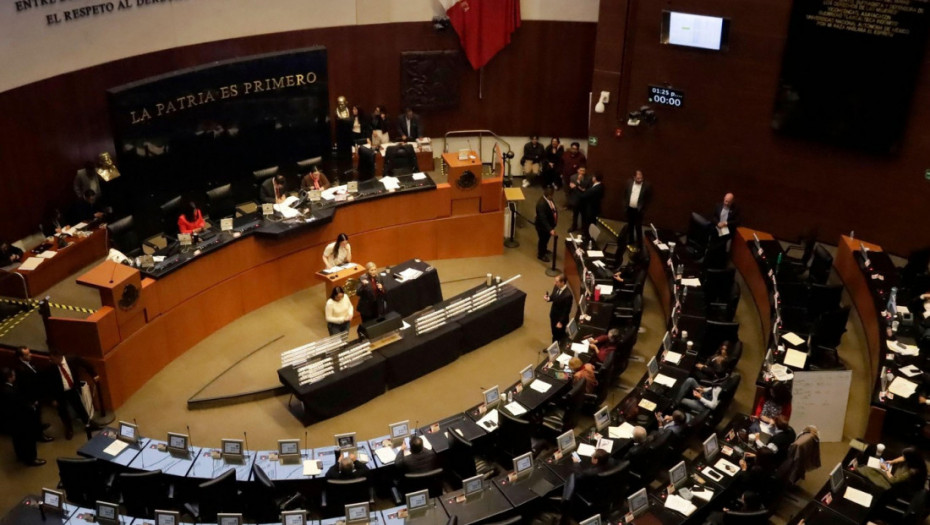 Meksički senat jednoglasno zabranio predstave s dupinima