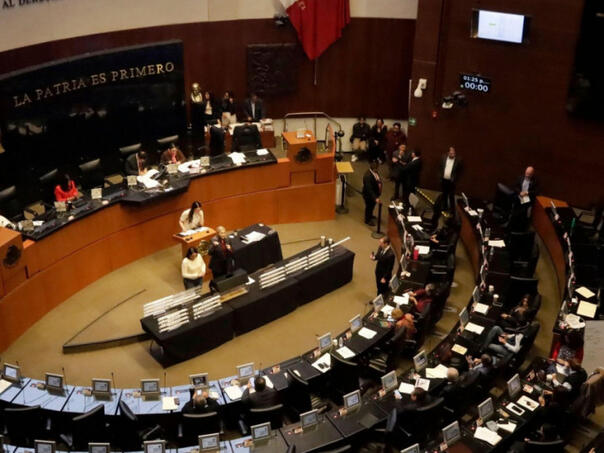 Meksički senat jednoglasno zabranio predstave s dupinima